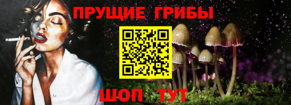 Псилоцибиновые грибы прущие грибы  сколько стоит  Нальчик  Вход с VPN 